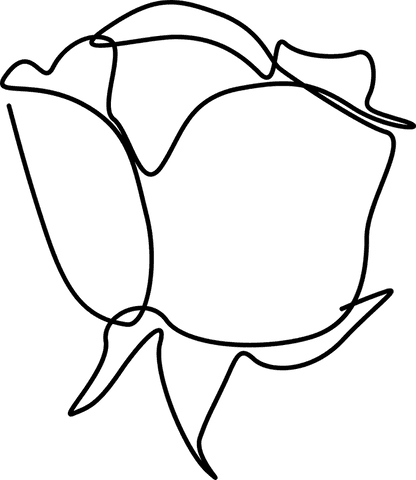 elegant single rose line art on transparent background - Download Free Stock Videos Pikwizard.com