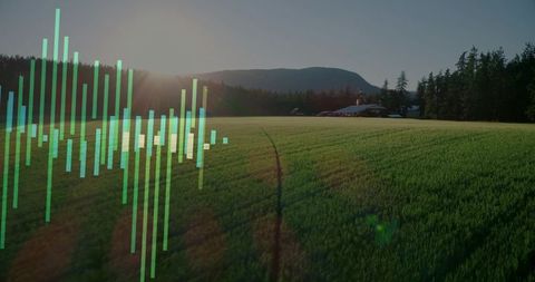 Sunrise over green wheat field with digital waveform overlay for rural precision agriculture