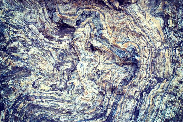 Close-up view of weathered tree bark showcasing intricate natural patterns and textures. Ideal for nature and forest-related themes, this can be used in design projects, environmental presentations, or as unique backgrounds for digital or print media.