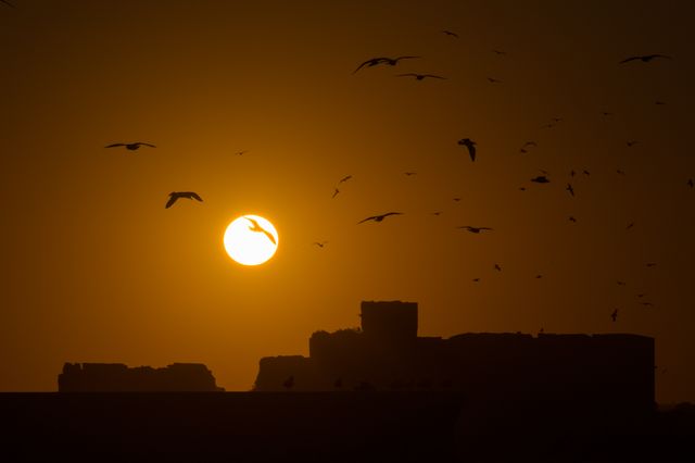 Sunset View of Birds Flying Near Ancient Ruins - Download Free Stock Photos Pikwizard.com