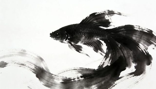 Black ink fish swimming with flowing brush strokes in minimalist sumi-e inkwash style