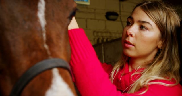 Young woman caring for horse in stable wearing red sweater - Download Free Stock Images Pikwizard.com