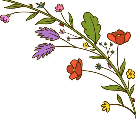 Botanical floral design with vibrant colors on transparent background