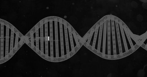 Monochrome DNA Strand on Black Background