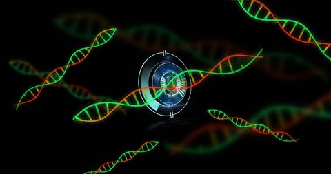 Digital Analysis of DNA Strands with Scanning Interface