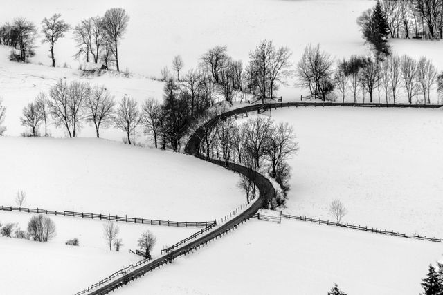 This aerial view of a snow-covered road winding through a winter landscape captures the serene and tranquil essence of the season. Bare trees line the road with a blanket of snow covering the ground, creating a picturesque and peaceful scene. Ideal for use in winter-themed projects, travel marketing, environmental campaigns, and seasonal greeting cards.