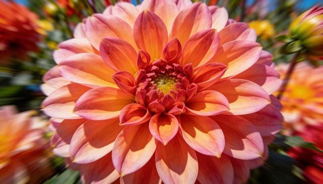 Coral orange dahlia blooming with layered petals and radiant green center, vibrant macro