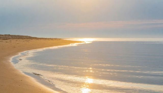Sunlit curving sandy shoreline reflecting golden sunrise over calm sea and gentle dunes