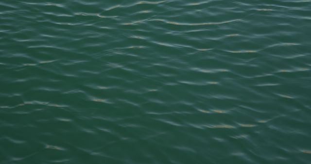Close-up of calm water surface with gentle ripples - Download Free Stock Photos Pikwizard.com
