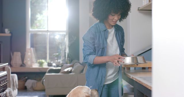 Woman Feeding Dog in Modern Sunlit Kitchen - Download Free Stock Images Pikwizard.com