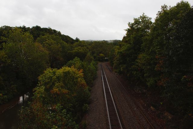 Empty railway track stretches into distance through lush forest, capturing serene, natural atmosphere and dramatic sky. Ideal for themes related to travel, transportation, solitude, nature, environmental conservation, and scenic landscapes.