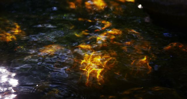 Sunlight filters through water, casting an abstract pattern of light and shadows, with copy space. The image captures the dynamic interplay between light and the fluid motion of water.