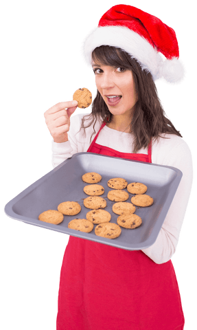 festive season baking santa hat woman holding tray transparent - Download Free Stock Videos Pikwizard.com