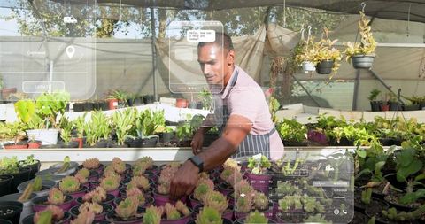 Greenhouse Horticulturist Tending Succulents Using AR Tools for Smart Nursery