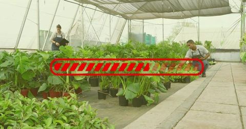 Supervisor noting stock while worker kneeling, tending tropical potted plants in greenhouse