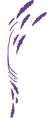 vibrant purple brush strokes on transparent background - Download Free Stock Videos Pikwizard.com