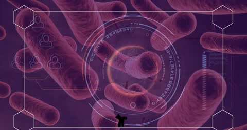 Animated Digital Interface with Global Networking Concept