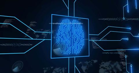Digital Fingerprint and Network Connectivity in Blue Interface