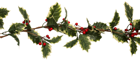 Transparent Christmas Holly Garland with Red Berries