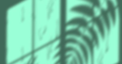 Abstract Leaf Shadow on Green Window Background - Download Free Stock Images Pikwizard.com