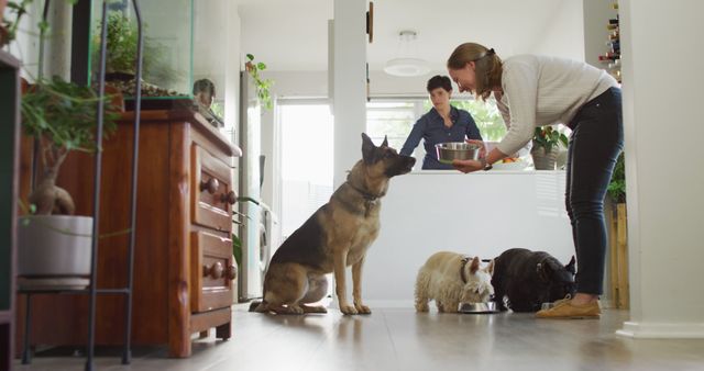 Couple feeding their group of dogs at home, depicting everyday life with pets. One person bending down offering food to a German Shepherd sitting attentively, with other small dogs in the foreground. Use this for concepts related to family life with pets, pet care, household chores, or dog training tips.
