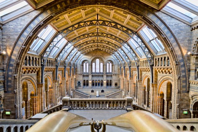 This captivating photograph showcases the grandiose interior of a historic museum with a stunning barrel-vaulted ceiling and ornate architectural details. Ideal for features on historic buildings, architectural design, cultural landmarks, and European architecture. It can also be used for educational materials, blogs about heritage sites, and travel or tourism promotions.