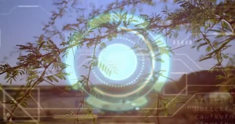 Holographic Technology Pulsing with Nature Behind