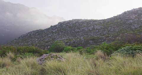 Misty Mountain Slope with Grassy Shrubland and Rocky Outcrops