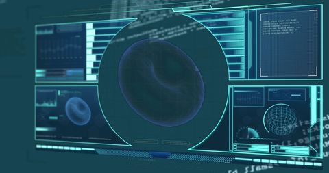 Digital interface displaying red blood cell analysis