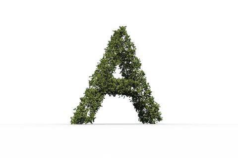green leafy alphabet letter a transparent background - Download Free Stock Videos Pikwizard.com