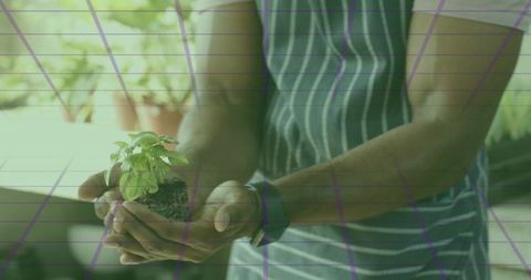 Gardener Holding Seedling in Hands Presenting Young Plant for Growth and Urban Gardening