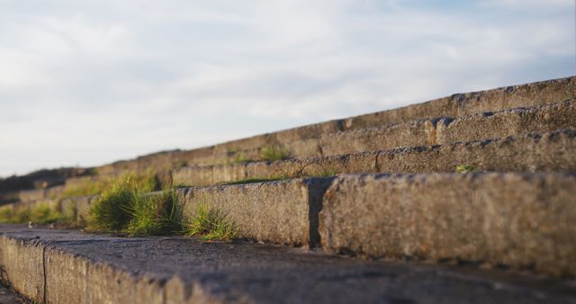 Grass Growing Between Stone Steps Under Blue Sky - Download Free Stock Images Pikwizard.com