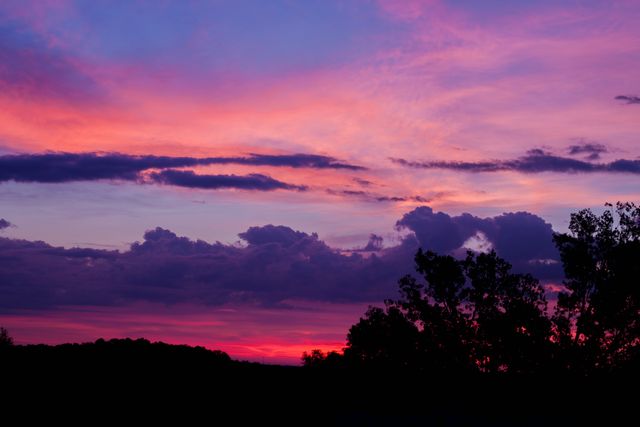 Beautiful Sunset Over Silhouetted Trees and Pink Clouds - Download Free Stock Photos Pikwizard.com