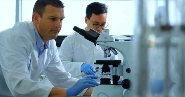 Scientists studying samples in a modern laboratory using a microscope. This image could be used for content related to scientific research, technology advancements, academic studies, biotechnology innovations, or medical research. Ideal for websites, brochures, and articles focused on science, healthcare, and education.