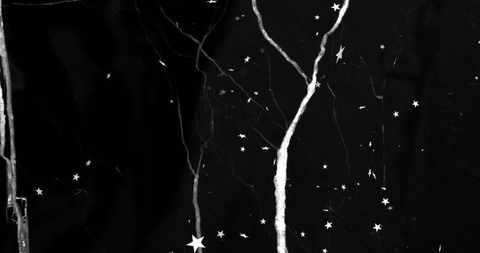 High-contrast monochrome marble panel with white veins and scattered star pattern