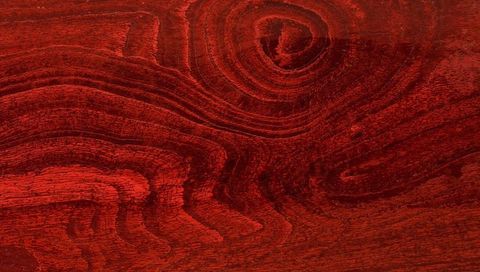 Crimson lacquered wood grain with prominent knot and swirling tree rings