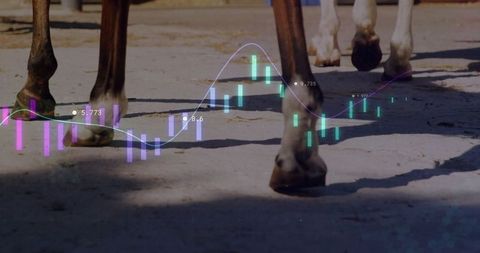 Horse Hooves with Financial Data Overlay in Outdoor Pasture