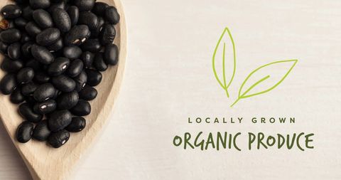 Organic Black Beans in Wooden Bowl Highlighting Natural Fresh Produce - Download Free Stock Images Pikwizard.com