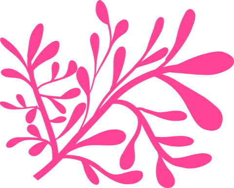 abstract coral-inspired pink branches on transparent background - Download Free Stock Videos Pikwizard.com