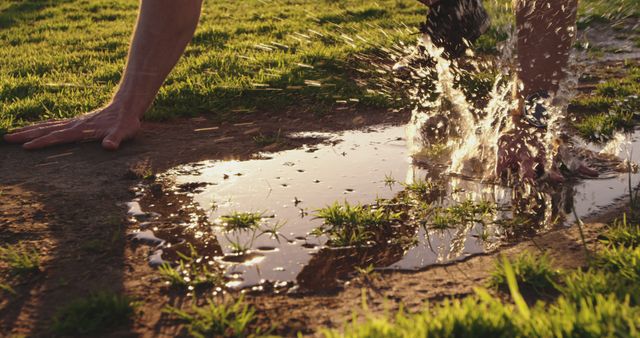 Hands Splashing in Muddy Puddle on Grass Field during Sunset - Download Free Stock Images Pikwizard.com