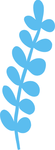 Minimalist light blue flat leaf branch on transparent background