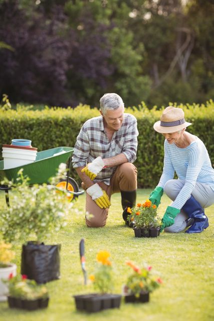 Elderly man and woman kneeling on grass, planting vibrant flowers in garden. They are surrounded by gardening tools and wear bright green gloves. Ideal for articles about gardening, active retirement lifestyles, and outdoor hobbies for seniors.