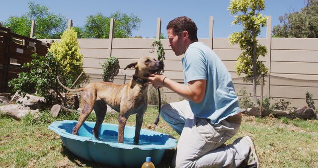 Man is bathing his dog in a plastic pool in the backyard on a sunny day. Man appears to be engaging playfully with the dog, creating a fun and carefree atmosphere. Useful for themes like pet care, outdoor activities, summer fun, animal lovers, and day-to-day life scene.