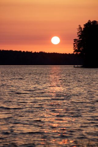 Sun Sinking Over Tranquil Lake with Pier and Pine Silhouettes, Orange Sunset Reflection