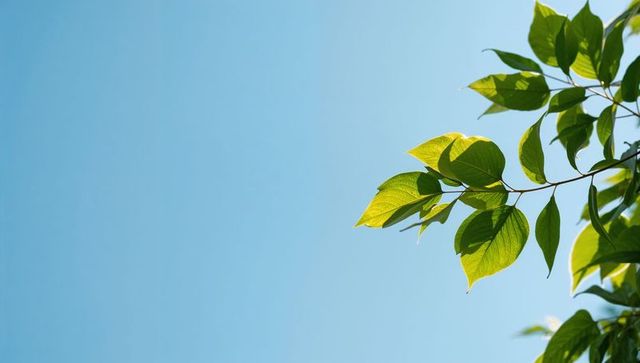 Backlit green leaves glowing against clear blue sky with generous copy space