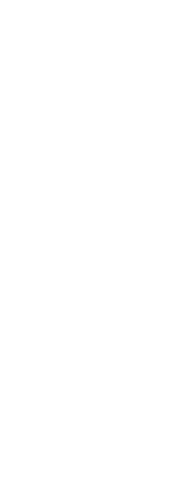 Vector Silhouette of Man Celebrating on Transparent Background