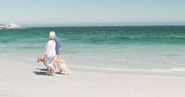 Elderly couple walking with golden retriever along serene beach. Clear blue sky and gentle waves serve as tranquil background. Ideal for advertisements promoting active senior lifestyles, retirement communities, and pet-friendly travel destinations.