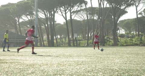 Soccer team training session amidst scenic nature