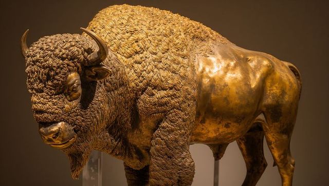 Gilded bison sculpture displaying curly mane and smooth patina hindquarter on clear supports