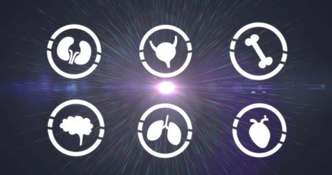 Digital Human Body System Icons Overlay With Light Effect